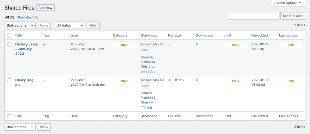 The Shared Files > File Management screen.